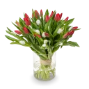 Kytice červených a bílých tulipánů